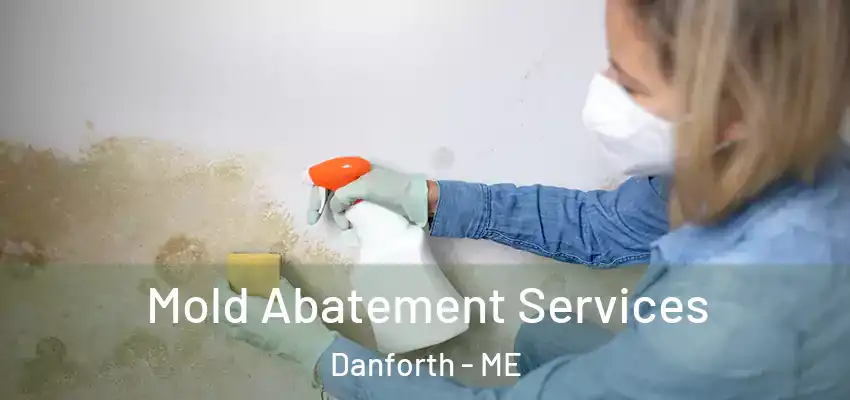  Mold Abatement Services Danforth - ME