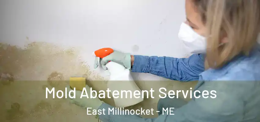  Mold Abatement Services East Millinocket - ME