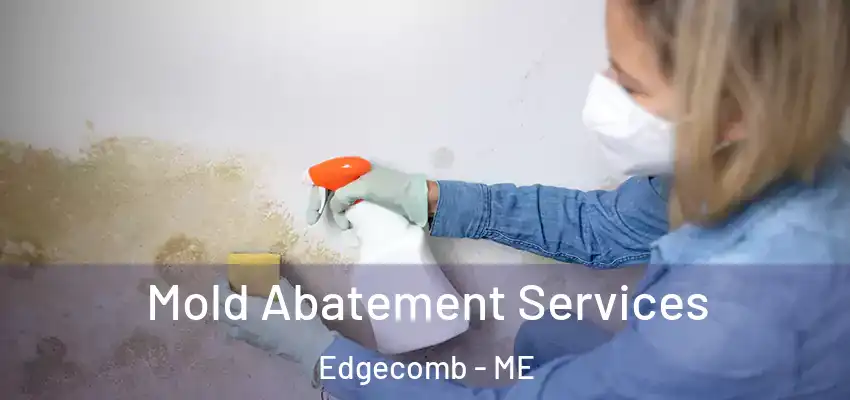  Mold Abatement Services Edgecomb - ME