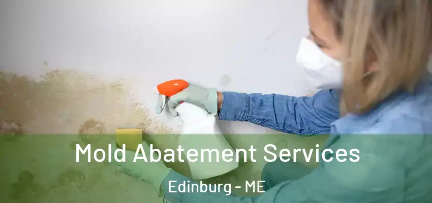 Mold Abatement Services Edinburg - ME