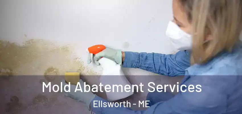 Mold Abatement Services Ellsworth - ME