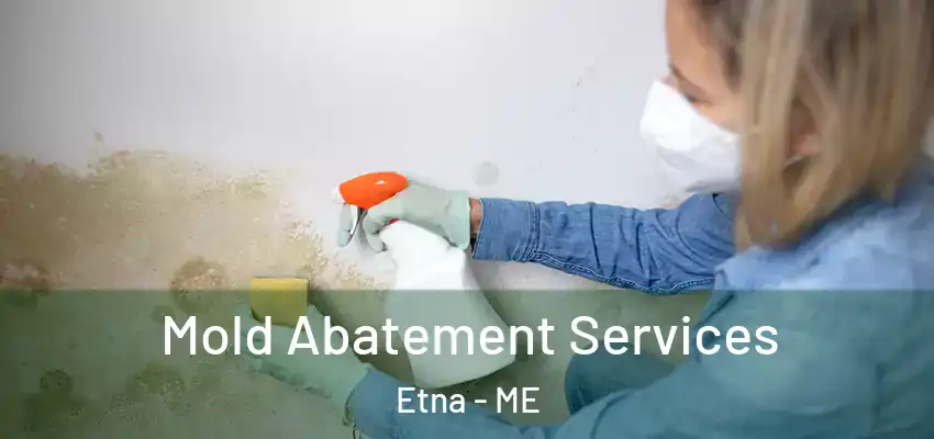  Mold Abatement Services Etna - ME