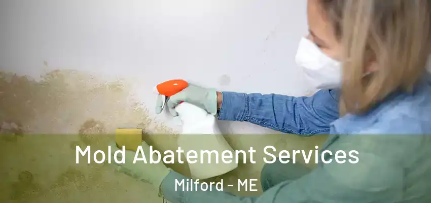 Mold Abatement Services Milford - ME