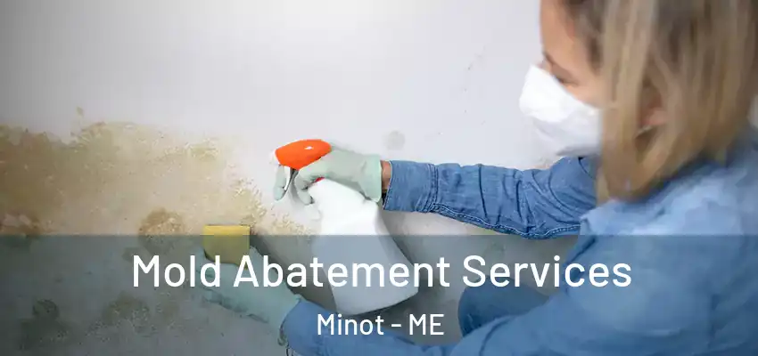 Mold Abatement Services Minot - ME