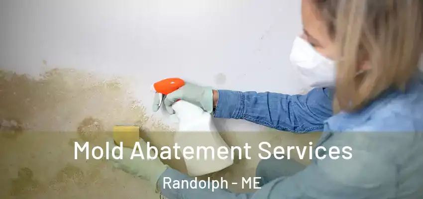 Mold Abatement Services Randolph - ME