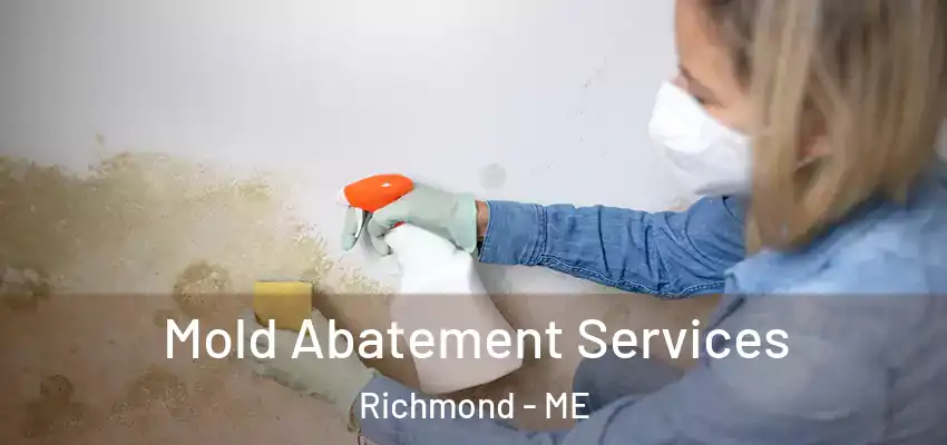  Mold Abatement Services Richmond - ME