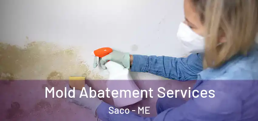  Mold Abatement Services Saco - ME