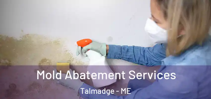 Mold Abatement Services Talmadge - ME