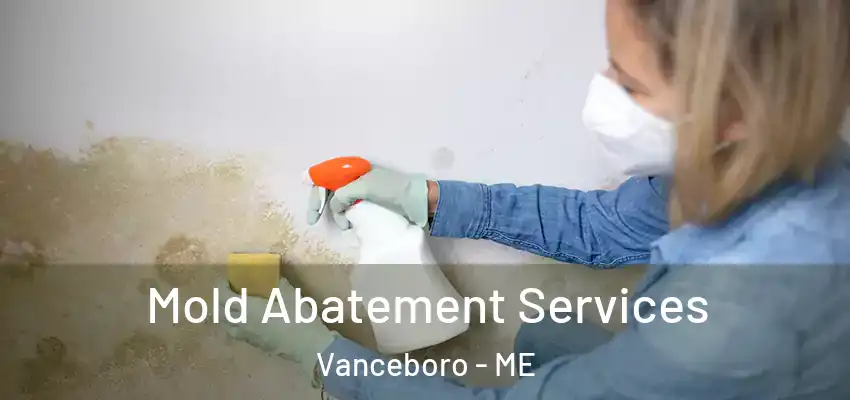 Mold Abatement Services Vanceboro - ME