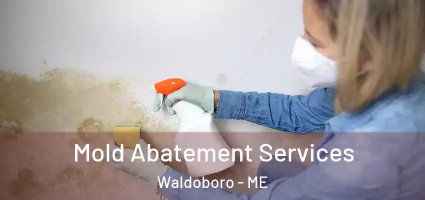 Mold Abatement Services Waldoboro - ME