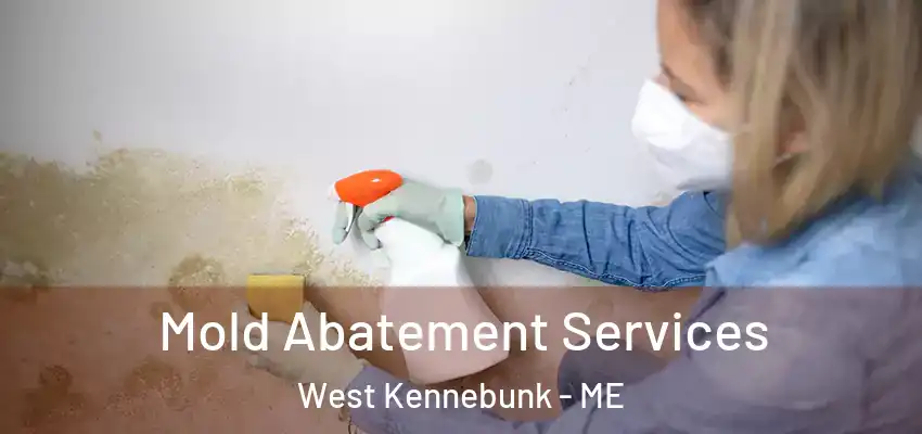 Mold Abatement Services West Kennebunk - ME