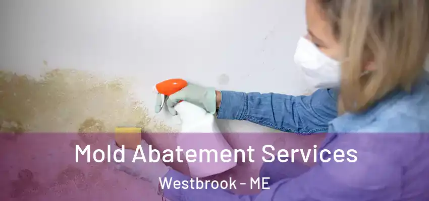  Mold Abatement Services Westbrook - ME