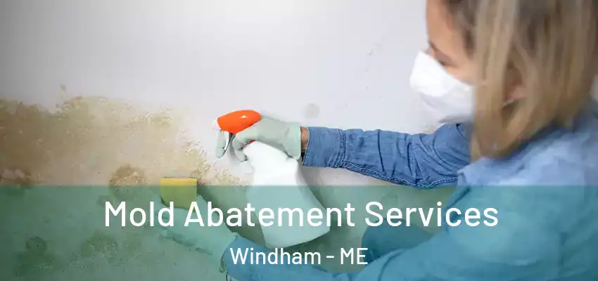  Mold Abatement Services Windham - ME