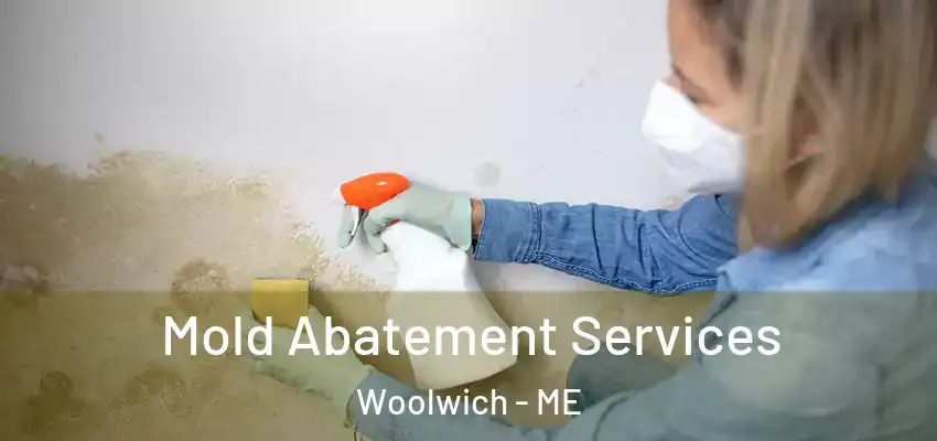 Mold Abatement Services Woolwich - ME