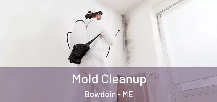  Mold Cleanup Bowdoin - ME