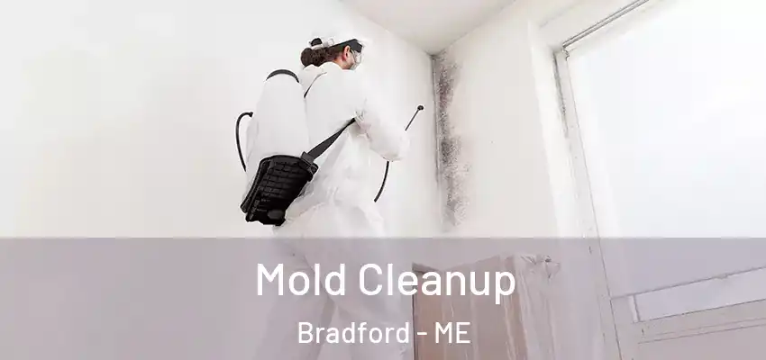 Mold Cleanup Bradford - ME