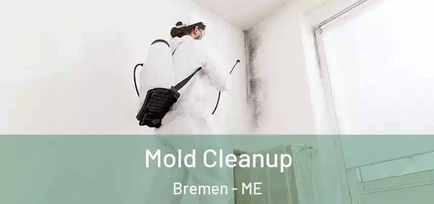  Mold Cleanup Bremen - ME