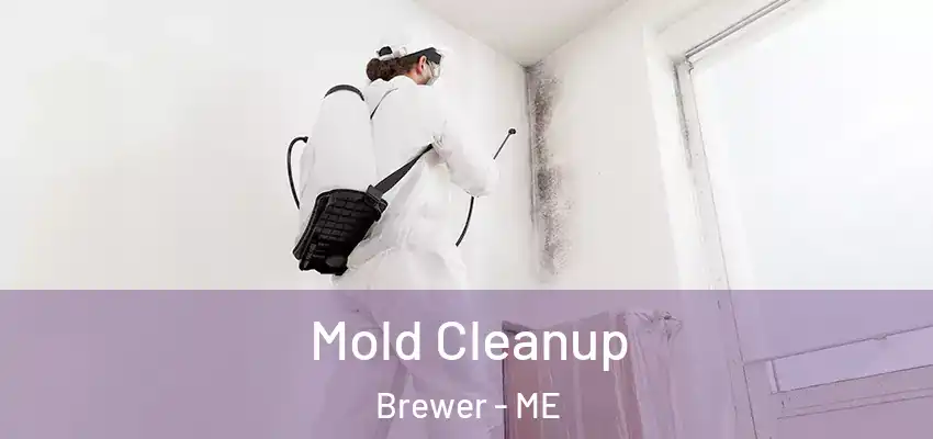  Mold Cleanup Brewer - ME