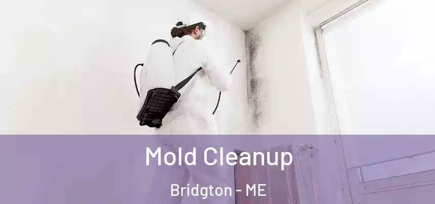  Mold Cleanup Bridgton - ME