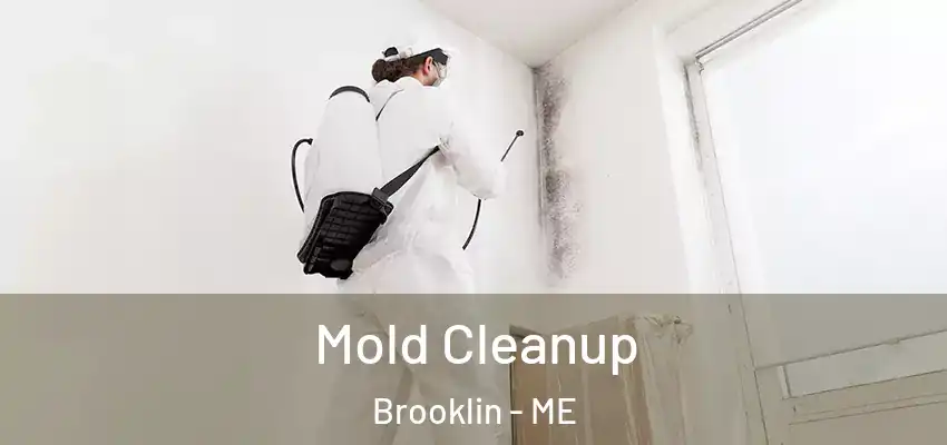  Mold Cleanup Brooklin - ME