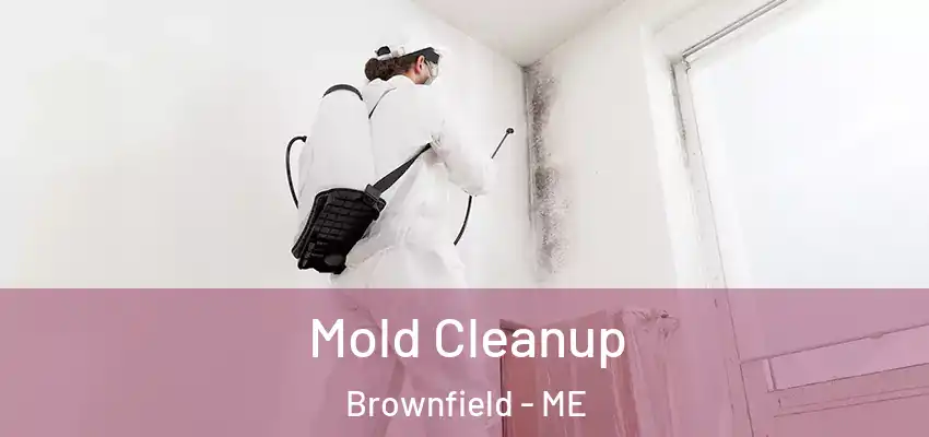  Mold Cleanup Brownfield - ME