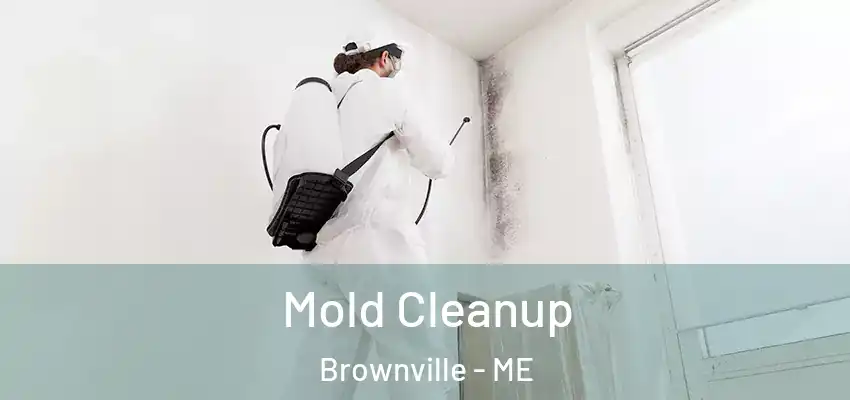  Mold Cleanup Brownville - ME