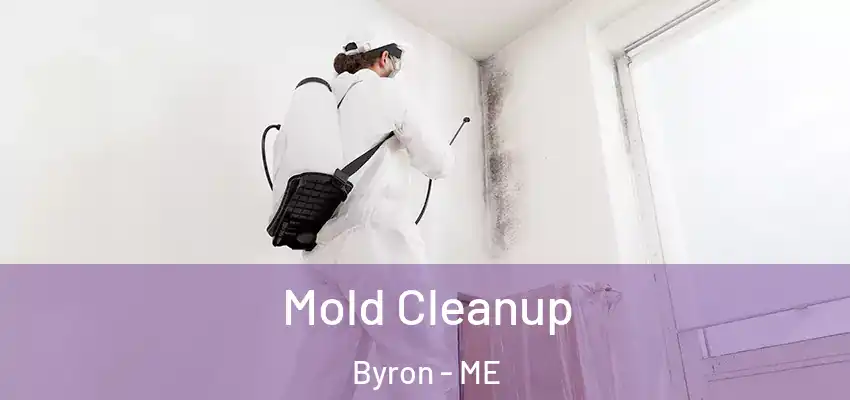  Mold Cleanup Byron - ME