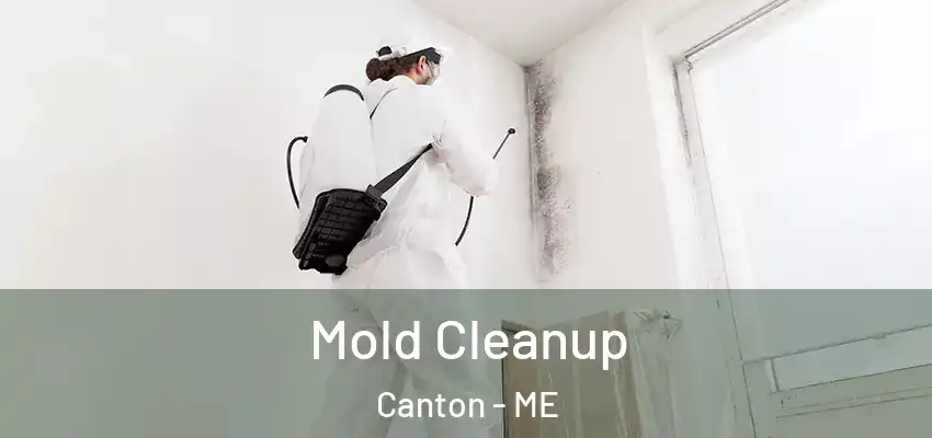  Mold Cleanup Canton - ME