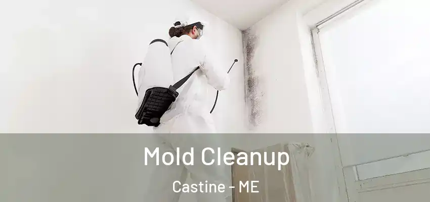  Mold Cleanup Castine - ME