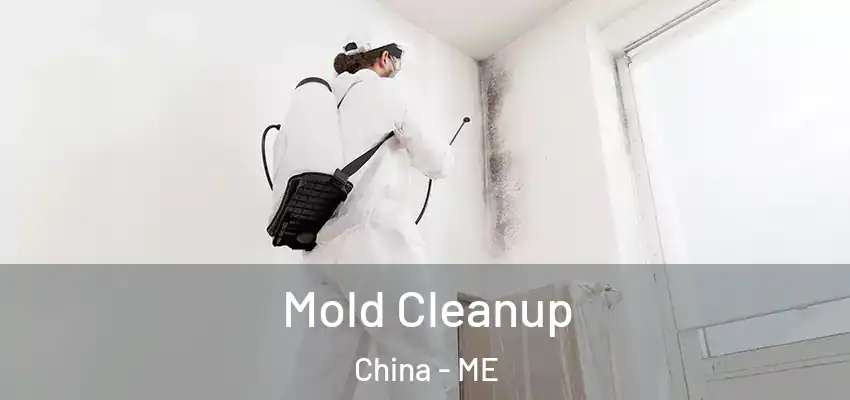  Mold Cleanup China - ME