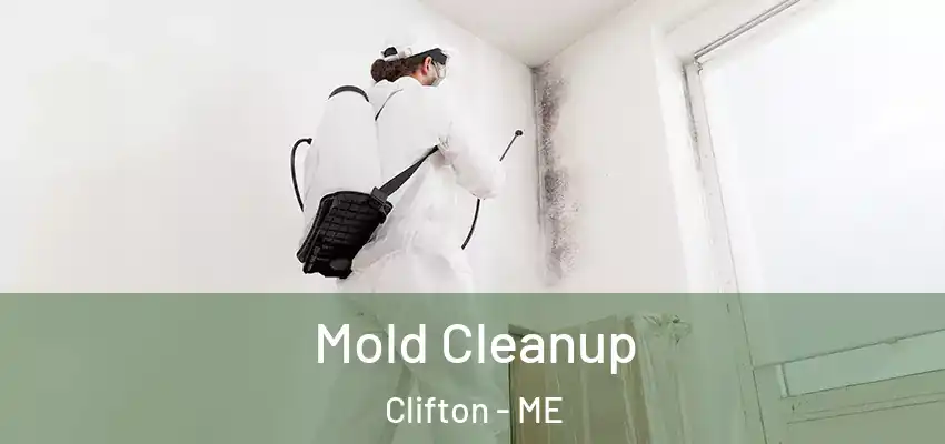  Mold Cleanup Clifton - ME