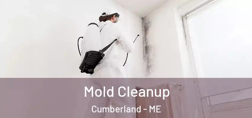  Mold Cleanup Cumberland - ME