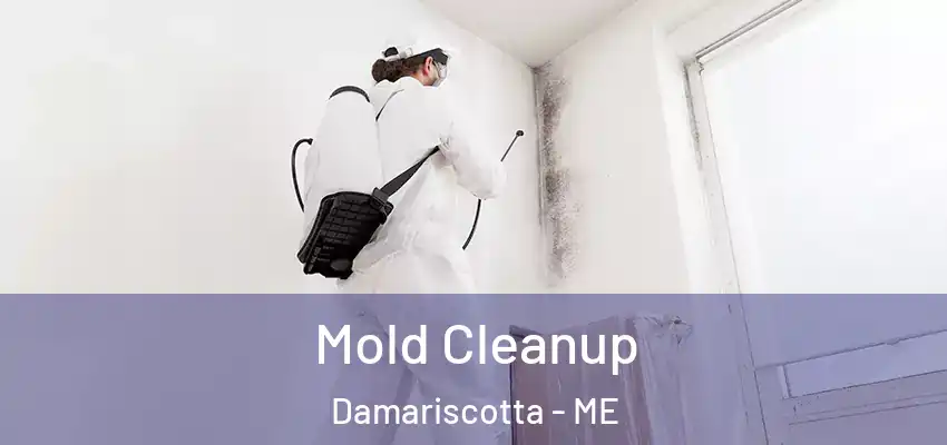 Mold Cleanup Damariscotta - ME