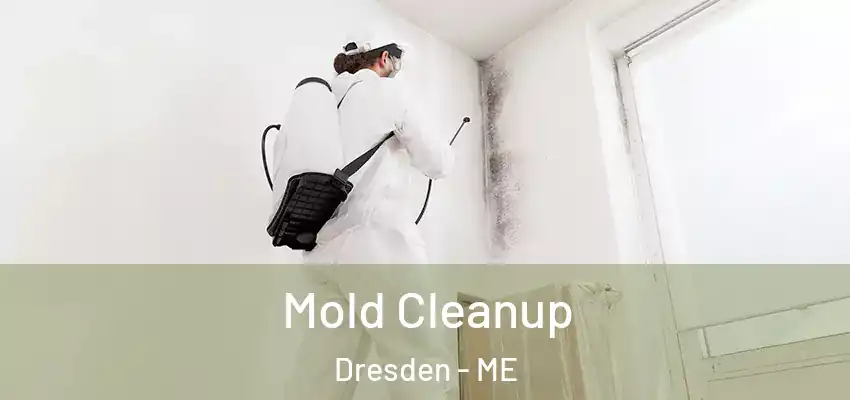  Mold Cleanup Dresden - ME