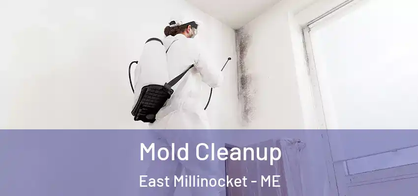  Mold Cleanup East Millinocket - ME