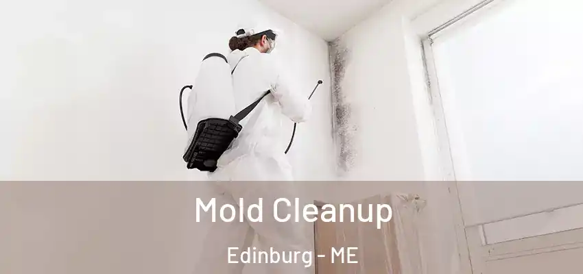  Mold Cleanup Edinburg - ME