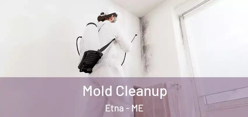  Mold Cleanup Etna - ME