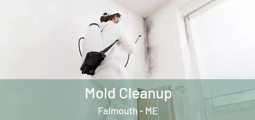  Mold Cleanup Falmouth - ME