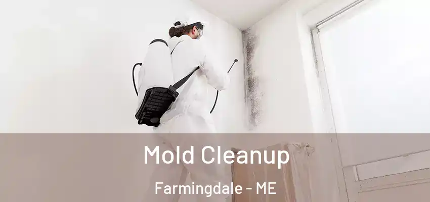  Mold Cleanup Farmingdale - ME
