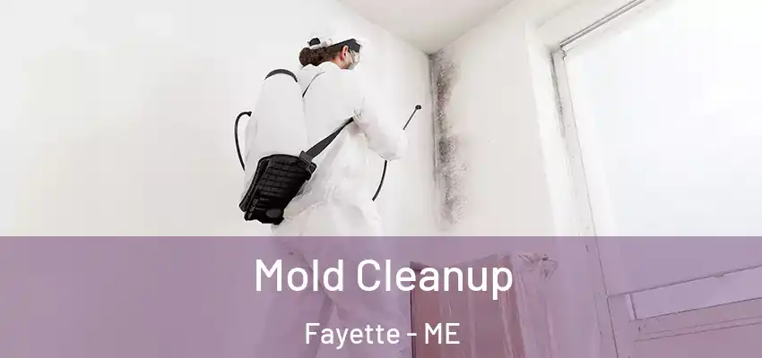  Mold Cleanup Fayette - ME