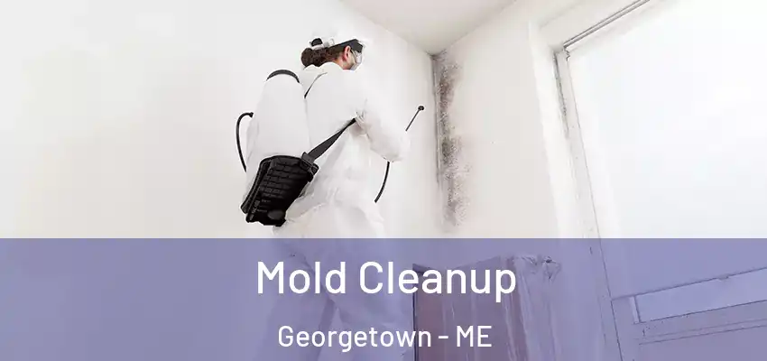 Mold Cleanup Georgetown - ME