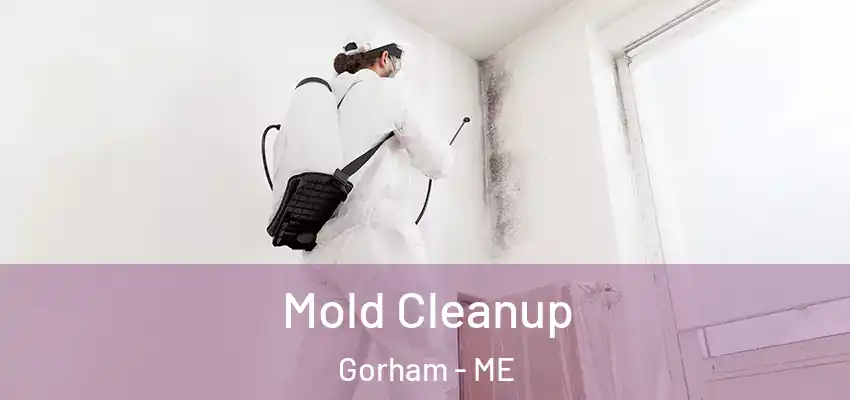 Mold Cleanup Gorham - ME