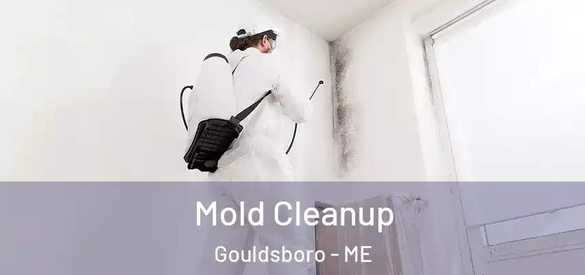  Mold Cleanup Gouldsboro - ME