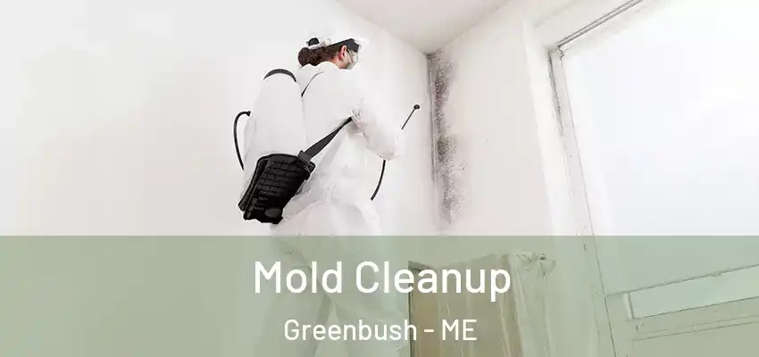  Mold Cleanup Greenbush - ME