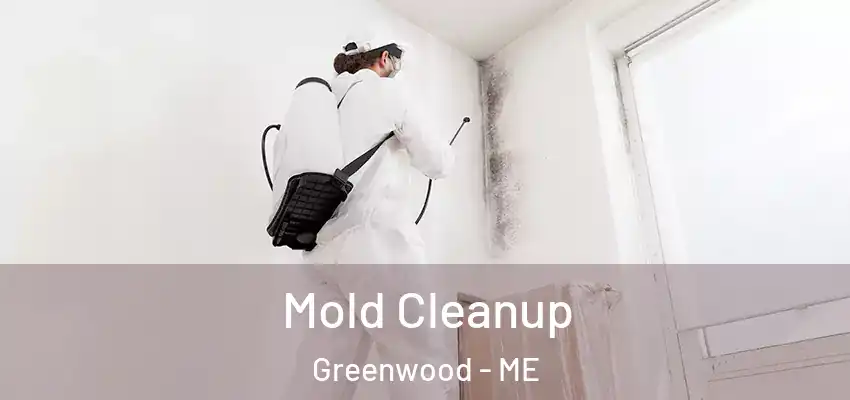  Mold Cleanup Greenwood - ME