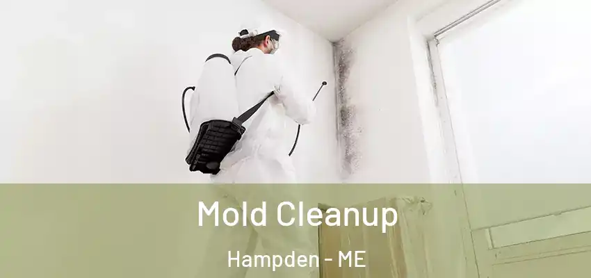  Mold Cleanup Hampden - ME