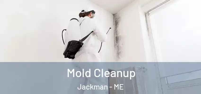  Mold Cleanup Jackman - ME