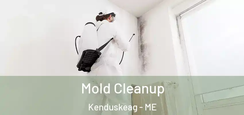  Mold Cleanup Kenduskeag - ME
