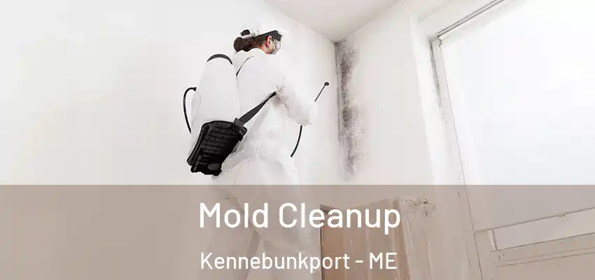  Mold Cleanup Kennebunkport - ME