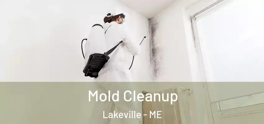  Mold Cleanup Lakeville - ME